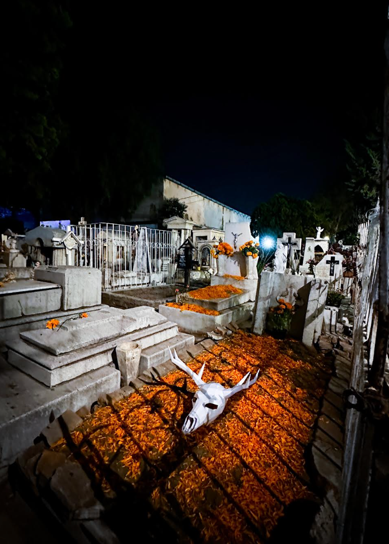 The Soul of Mexico: Guanajuato, San Miguel & Tolantongo