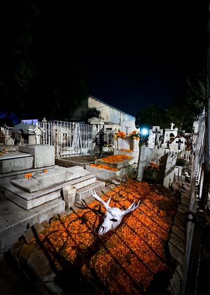 The Soul of Mexico: Guanajuato, San Miguel & Tolantongo